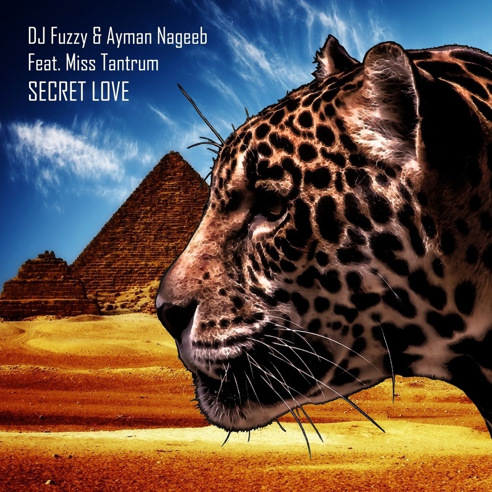 Secret Love (Original Mix)