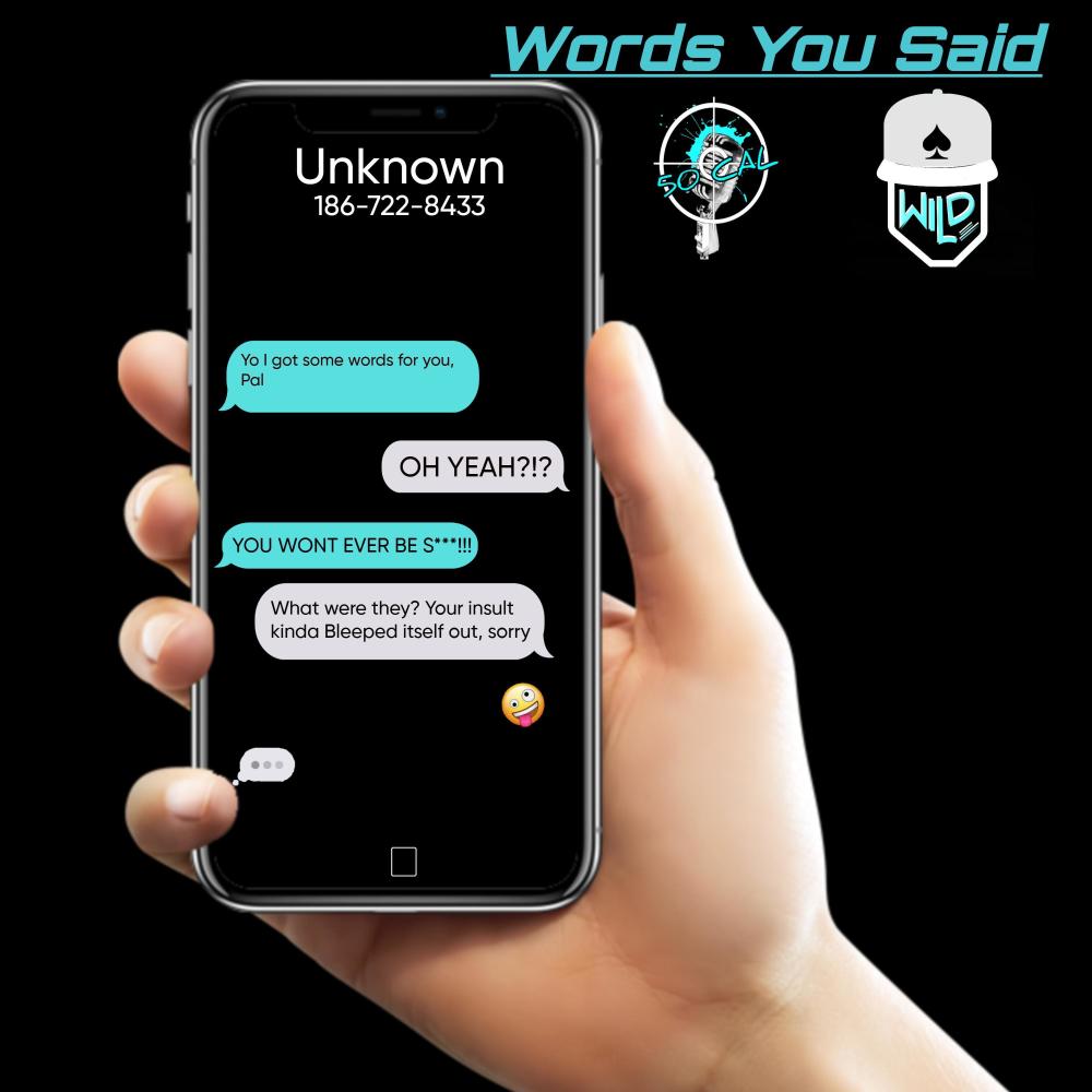 Words You Said (feat. Ace Wild) (Explicit)