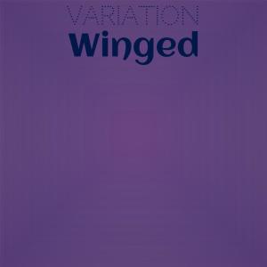 Dengarkan lagu Wanderer Giri nyanyian Diren Hola dengan lirik