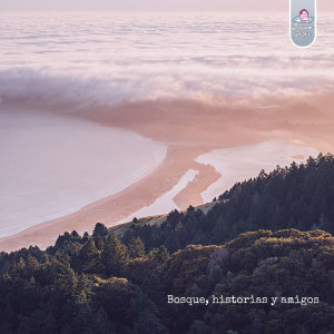 Listen to Bosque, historias y amigos song with lyrics from Gagdropers
