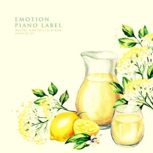 Album Emotional Piano For A Cup Of Warm Springtime Tea from Various Artists
