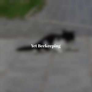 收听Patson Poen的Device歌词歌曲