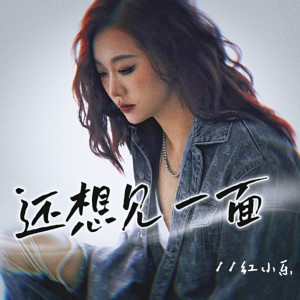 红小乐的专辑还想见一面