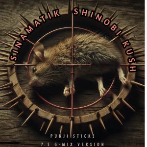 收聽Sinamatik的Punji Sticks (feat. Shinobi Kush) (7.5 G-Mix)歌詞歌曲