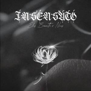 ดาวน์โหลดและฟังเพลง Insensato (Explicit) พร้อมเนื้อเพลงจาก Elvis Bunnetta