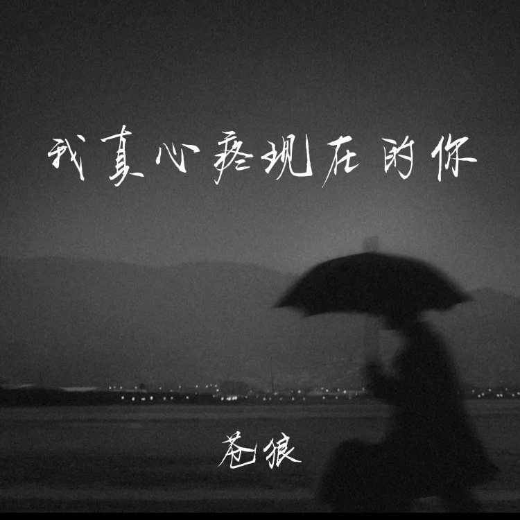 我真心疼现在的你 (伴奏)