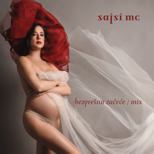 Sajsi MC的專輯Bezgrešno začeće (A.N.D.R. Mix) (Explicit)