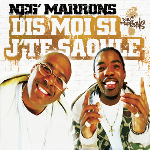 Nèg' Marrons的專輯Dis moi si j'te saoule