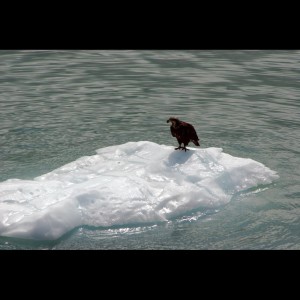 Listen to Floating nature song with lyrics from SPA