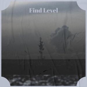 Listen to Find Level song with lyrics from Beigh