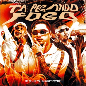 ดาวน์โหลดและฟังเพลง TA PEGANDO FOGO (Explicit) พร้อมเนื้อเพลงจาก Dj Harry Potter