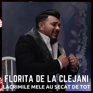 Listen to Lacrimile Mele Au Secat De Tot song with lyrics from Florita de la Clejani