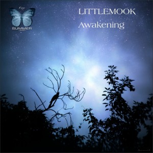 收聽LITTLEMOOK的Elastica (其他)歌詞歌曲