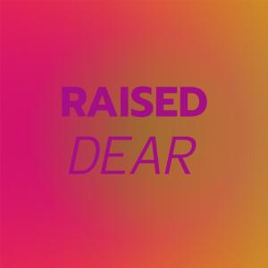 Listen to Aphoristic song with lyrics from Roey Vell