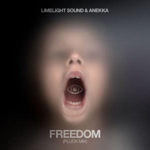 Limelight Sound的專輯Freedom (Pluck Mix)
