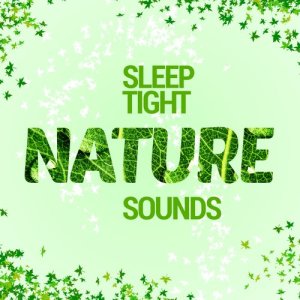 收聽Nature Sounds Sleep的Sunday Afternoon歌詞歌曲