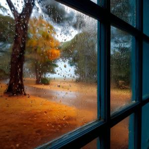 Album Rain Fall on a Window in Australia oleh Rainfall