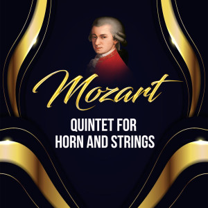 ดาวน์โหลดและฟังเพลง III. Allegro พร้อมเนื้อเพลงจาก Gerd Seifert