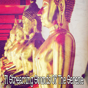 ดาวน์โหลดและฟังเพลง Anxiety Cleanse พร้อมเนื้อเพลงจาก Asian Zen Spa Music Meditation