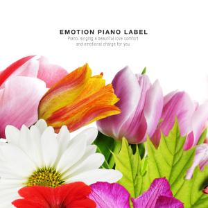 Various Artists的專輯New age piano full of floral fragrance