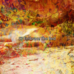 อัลบัม 57 Embrace The Bed ศิลปิน Sleepy Night Music