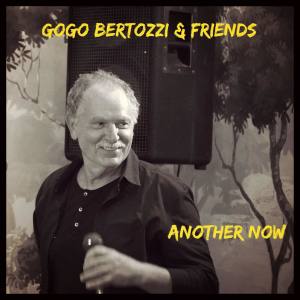 收聽Gogo Bertozzi & Friends的Another Now歌詞歌曲