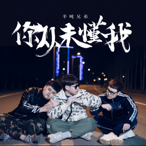 收聽半噸兄弟的你從未懂我歌詞歌曲