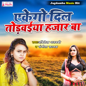 Listen to Ekego Dil Todwaiya Hajar Ba song with lyrics from Abhishek Ajnabi