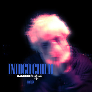ดาวน์โหลดและฟังเพลง Indigo Child (Explicit) พร้อมเนื้อเพลงจาก naldooo
