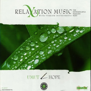 ดาวน์โหลดและฟังเพลง Anın Güzelliği พร้อมเนื้อเพลงจาก Serkan Cagri