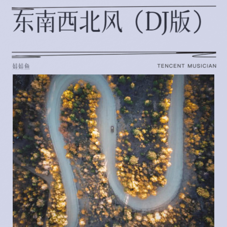 东南西北风 (DJ版)