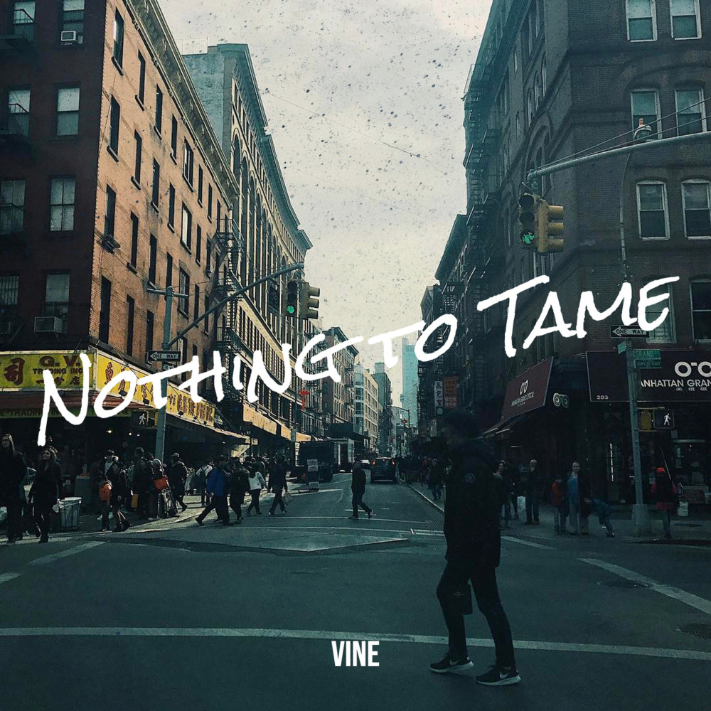 Nothing to Tame (Explicit)