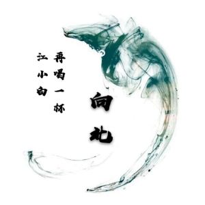 Listen to 再喝一杯江小白 (伴奏) song with lyrics from 向北