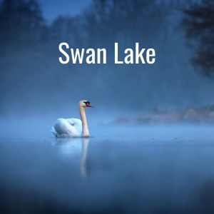 Peter Ilyich Tchaikovsky的專輯Swan Lake