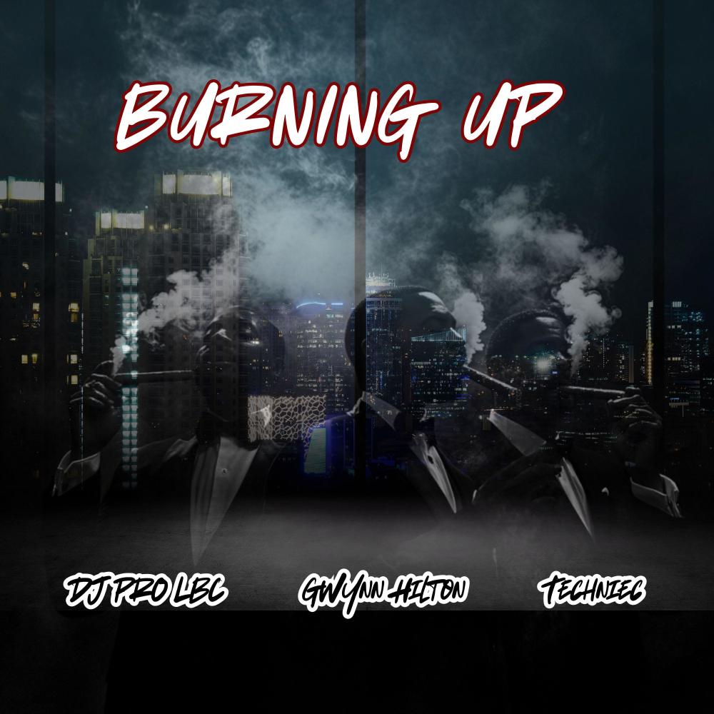 Burning Up (feat. Techniec & Gwynn Hilton) (Explicit)