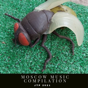 ดาวน์โหลดและฟังเพลง Opinion (Radio Vrs.) พร้อมเนื้อเพลงจาก Gagliano