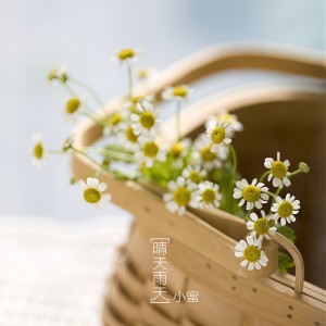 收聽小蜜的晴天雨天歌詞歌曲