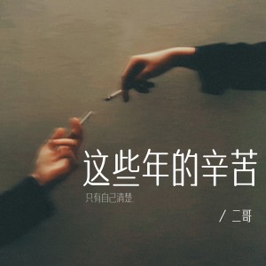 Listen to 这些年的辛苦 (伴奏) song with lyrics from 二哥