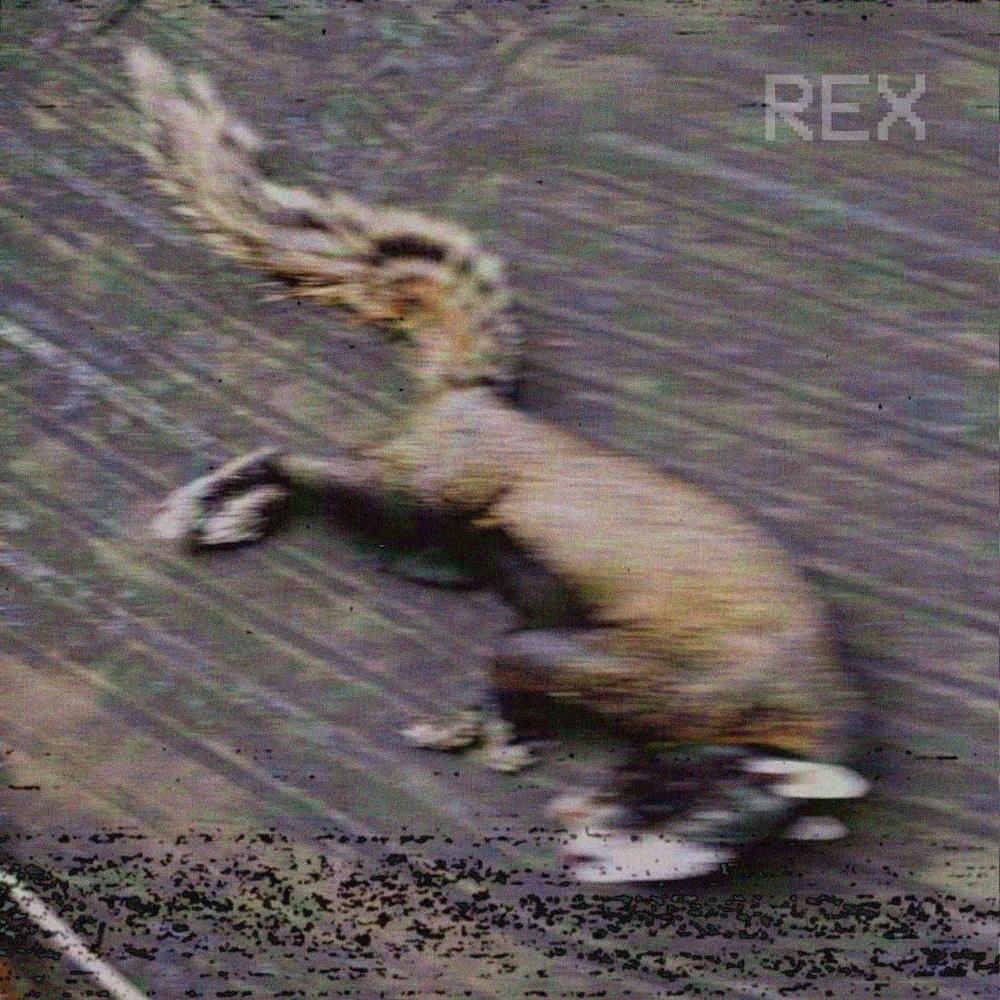 rex (Explicit)