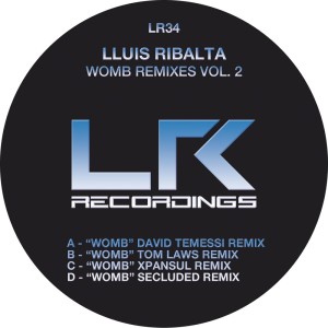 收聽Lluis Ribalta的Womb (David Temessi Remix)歌詞歌曲