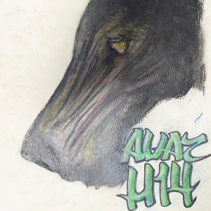 Album H14 from Avaz