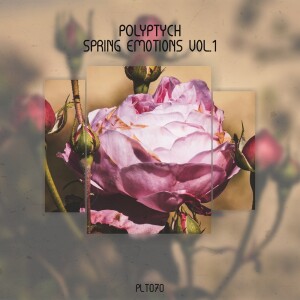 Listen to Voodoo (Stream Edition) song with lyrics from Tal Fussman