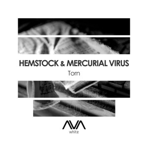 Hemstock的專輯Torn