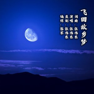 Album 飞回故乡梦      演唱：张伟东 from 