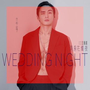 อัลบัม 洞房花燭夜 ศิลปิน 王振祖