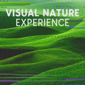 Album Visual Nature Experience (Diverse Nature Music for Yoga and Relaxation) from Deep Visualization Zen