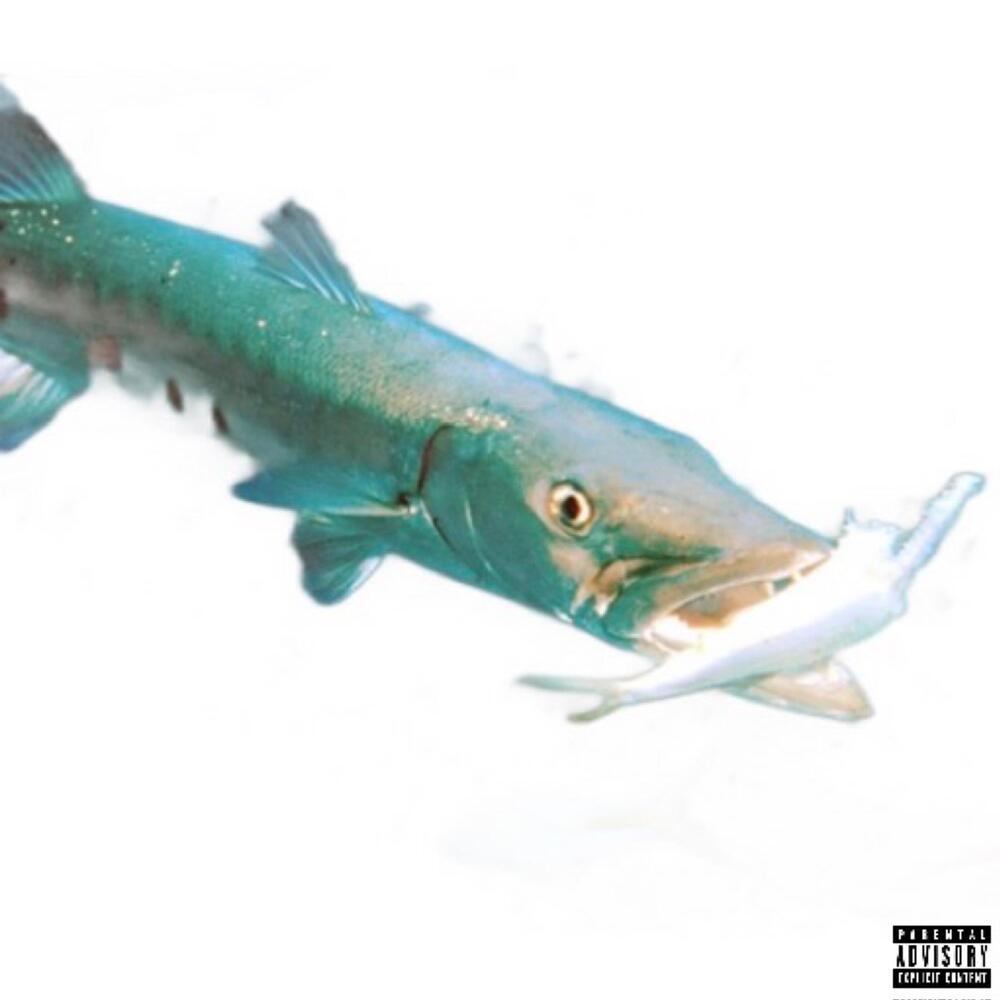 BARRACUDA (Explicit)