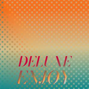 Various Artists的專輯Deluxe Enjoy