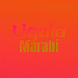 Listen to Chick Fennel song with lyrics from Chela Dors