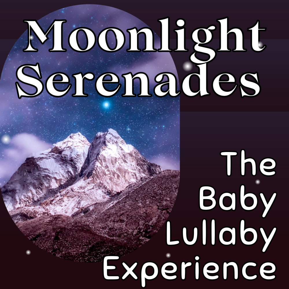 Lavender Fields Baby Lullaby
